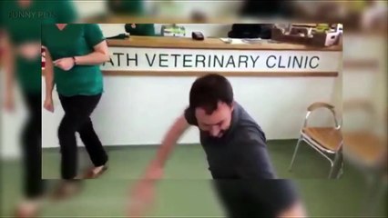 121.[NEW] DOGS MEET OWNERS after LONG TIME  (HD) [Funny Pets]