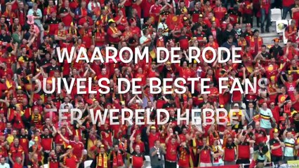 Come on Belgium! Deze 6 redenen bewijzen dat de Rode Duivels de beste fans ter wereld hebben