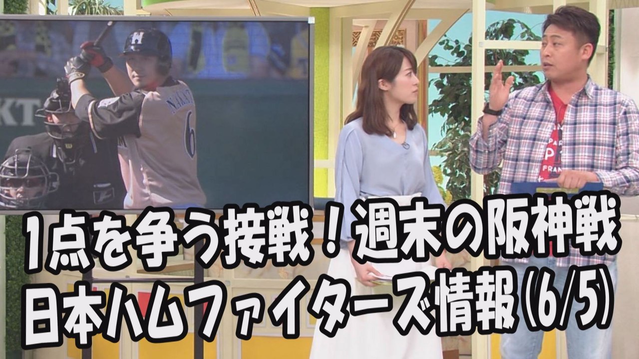 日本ハム 1点を争う接戦！週末の阪神戦 2017.6.5 日本ハムファイターズ情報 プロ野球