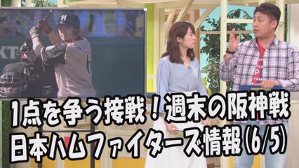 日本ハム 1点を争う接戦！週末の阪神戦 2017.6.5 日本ハムファイターズ情報 プロ野球