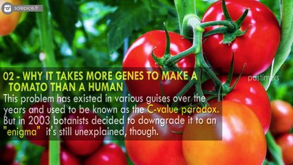 10 Things That Scientists Can't Explain