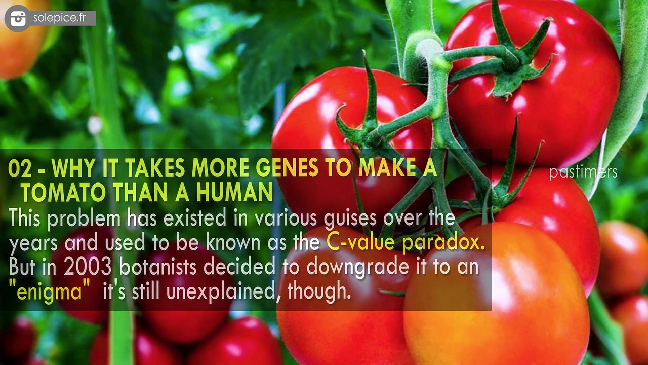 10 Things That Scientists Can't Explain