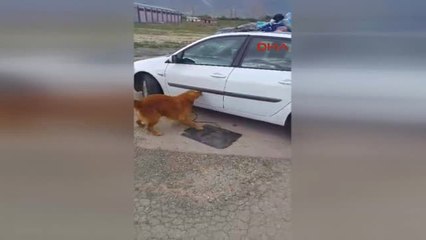 Erzincan Iranlı Kardeşler 40 Kilo Eroinle Yakalandı