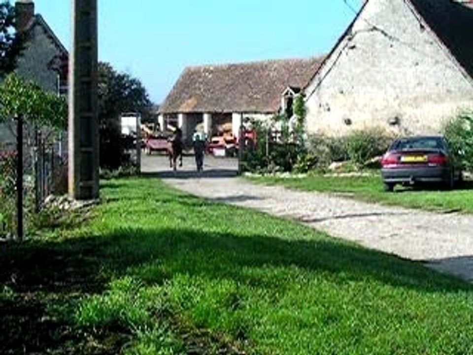 DSCN2979