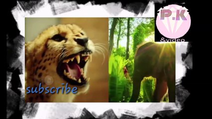 Jagga Jasoos Official Trailer