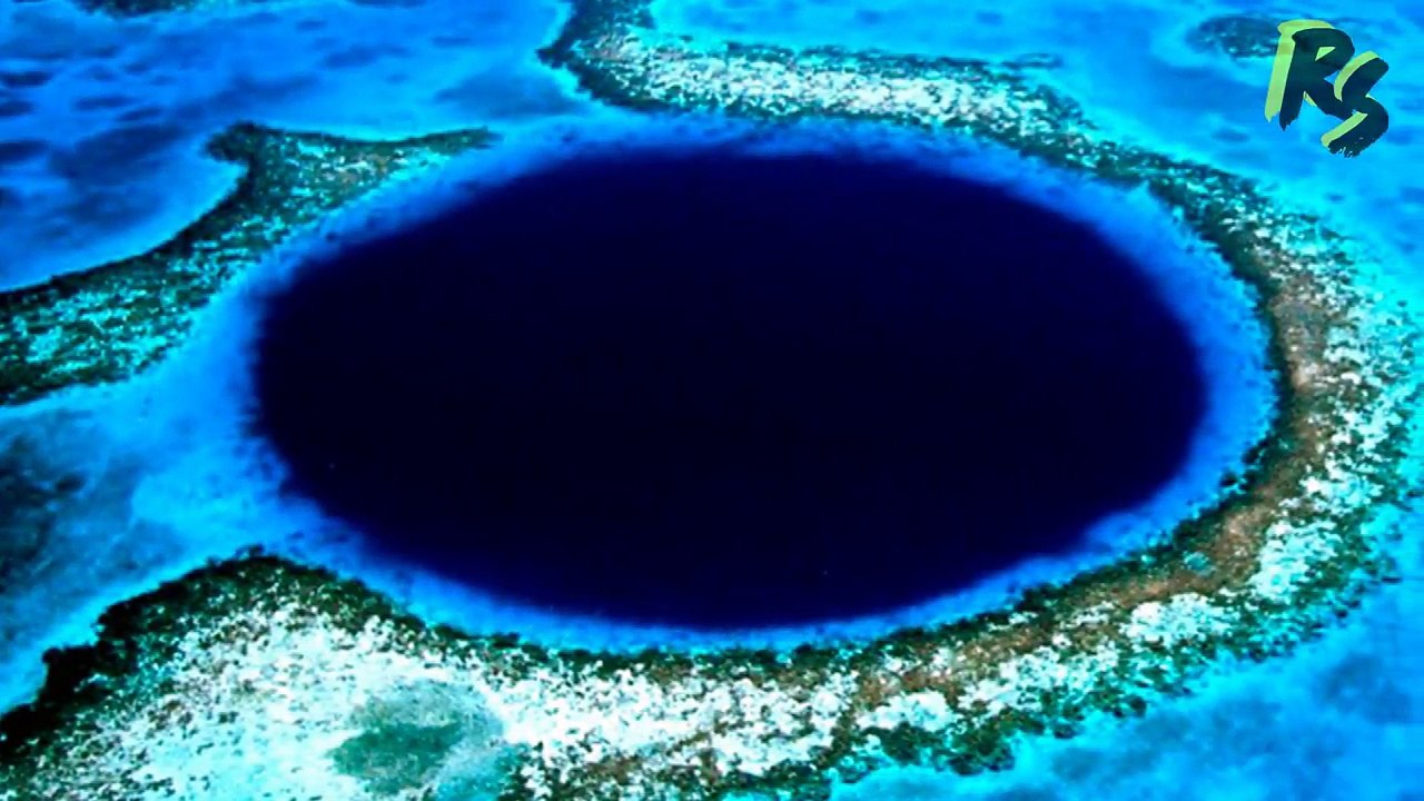 5 Megalodones Captados En Cámara │ Avistamientos REALES