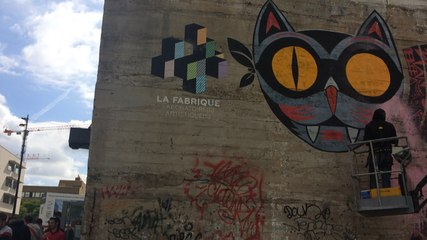 Kazy redonne des couleurs à son chat