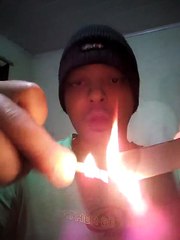 O Fantástico mundo de Nardo