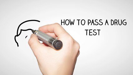 How To Pass A Drug Test