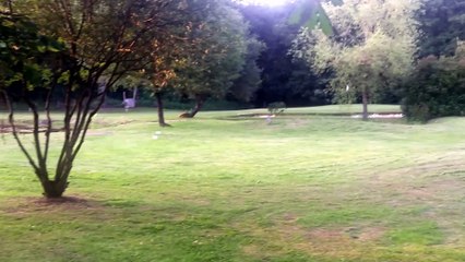 Club de Golf Río Cabe-Monforte - Stabilized