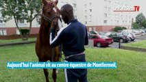 Il fait le buzz en se promenant à cheval dans Montreuil