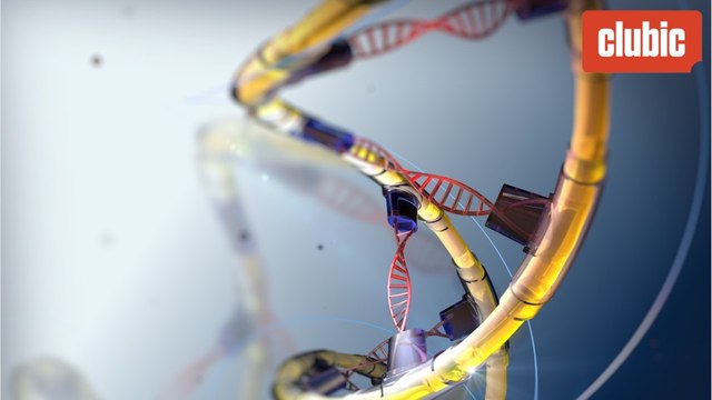 IBM a produit des puces de 5 nanomètres !