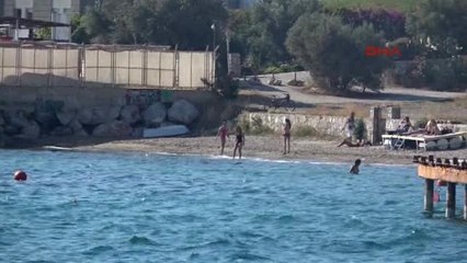 Muğla Plajda 70 Yaşındaki Hollandalı Kadın Turiste Cinsel Taciz Iddiası