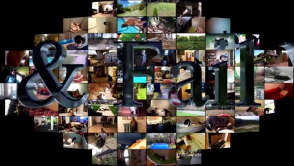 01.Animal Fails of the Week 1 June 2017 - Animal Fails Compilation 2017