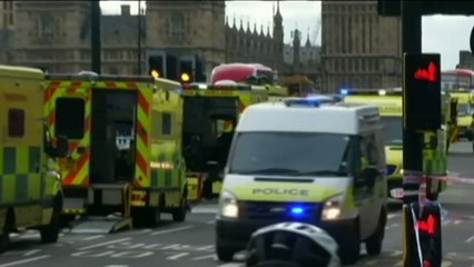 Terör Olayları Bu Yıl Zirve Yaptı