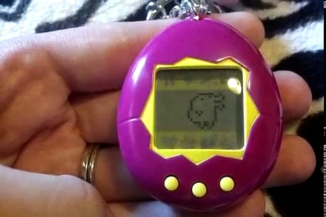Introduciendo el Tamagotchi p1