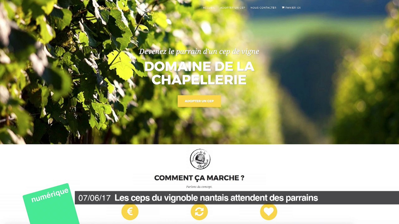 Numérique #55