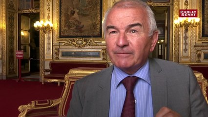 Jean-Claude Carle (LR) sur le point positif des rythmes scolaires