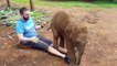 34.Funny Lap Elephants  Cute Baby Elephants [Funny Pets]