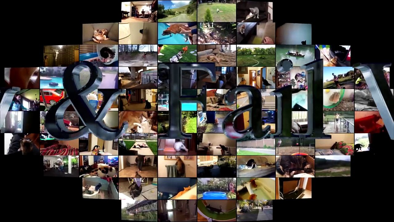 15.Funny Cats And Rats - Cats Vs Rats - Rats Attacking Cats Compilation