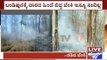 Bandipur: Over 1000 Acres Of Trees Destroyed Due To Wildfire Which Started Last Week
