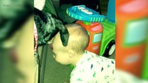 20.Cute DOGS and BABIES Playing TOGETHER  [Funny Pets]