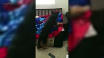 31.CUTEST DOGS WAKING UP THEIR OWNERS [Funny Pets]
