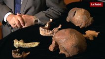 Jean-Jacques Hublin, l'anthropologue qui a découvert les plus vieux fossiles d'Homme moderne