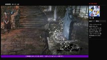 ブラットボーン初心者のBloodborne　　ノー演習 (18)