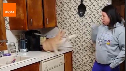 Animals Are Actually Jerks