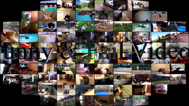 74.Cats scared of Cucumbers Compilation - Part 2 - Cats Vs Cucumbers - Funny Cats 2016