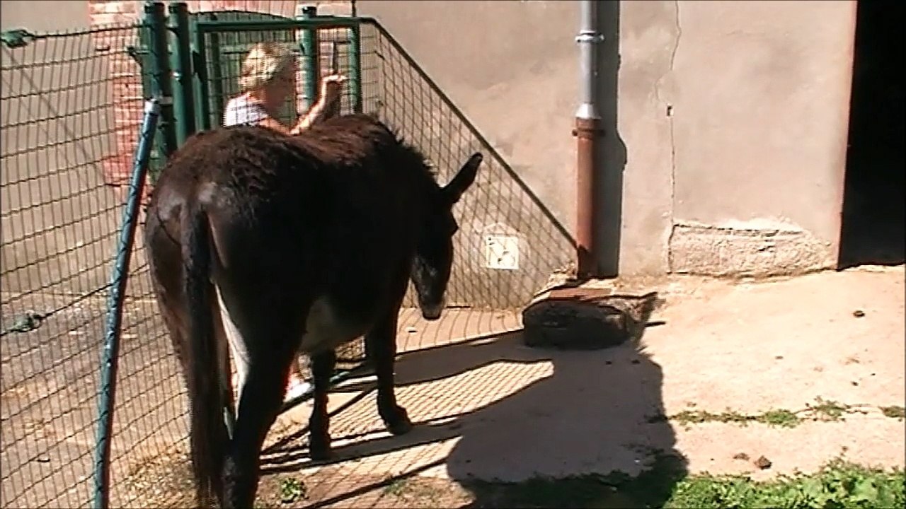 Claudine et l'âne de Nomeny