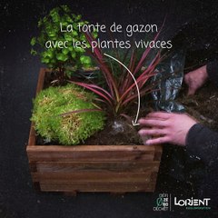 [Tuto jardiner au naturel] Pourquoi et comment faire du paillage ?