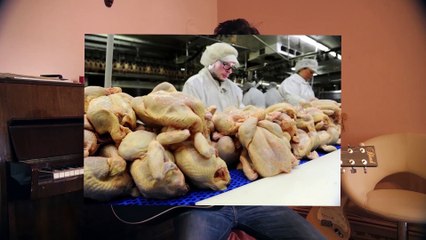 Babišovy Dobroty - Krajčova Píseň