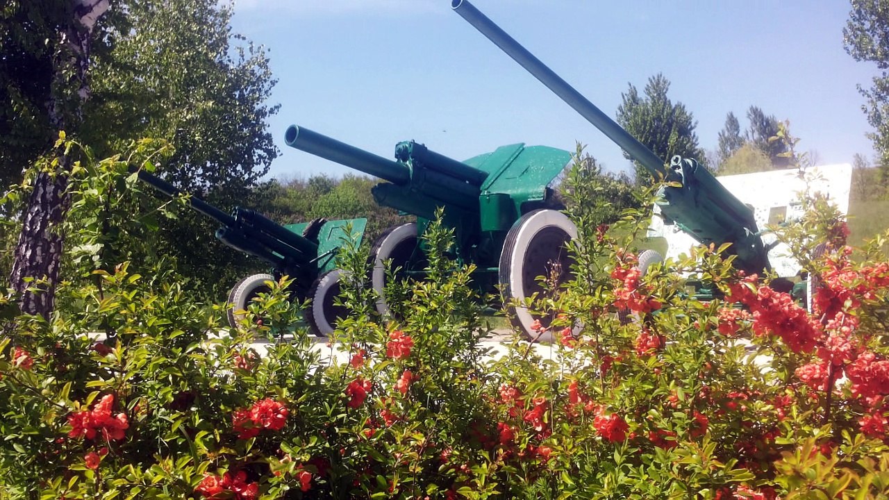 Бреветы 200 км г. Луганск 2017 г.