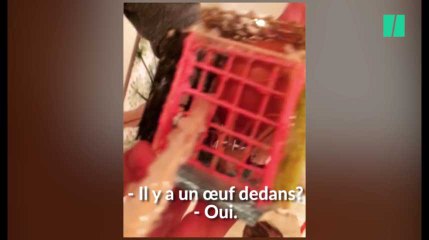 Cette expérience scientifique ne pouvait pas se passer plus mal