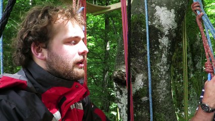 Concept du Resto Branché, dans les arbres.
