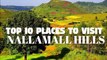 Top 10 Places to visit in Nallamalla Hills (Hill Station of Andhra Pradesh)