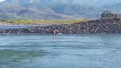 Elazığ'da Kayıp Şahıs Ölü Bulundu