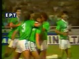 ΑΕΛ-Παναθηναικός 0-2 Τελικός κυπέλλου Ελλάδας 1984  ΕΡΤ