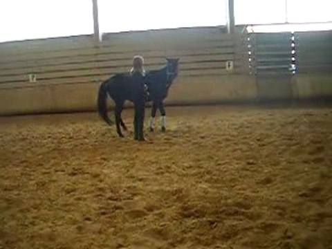 emir reculer+déplacements latéraux