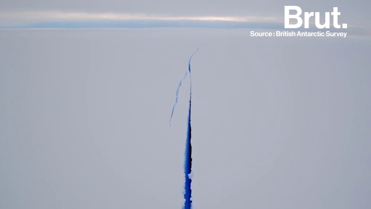 Un iceberg de 5000 km2 se détache de l'Antarctique