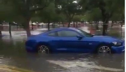 South Florida Flooding Leaves Cars Stranded in Parking Lots