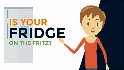 Fridge Appliance Repair | Express Repair