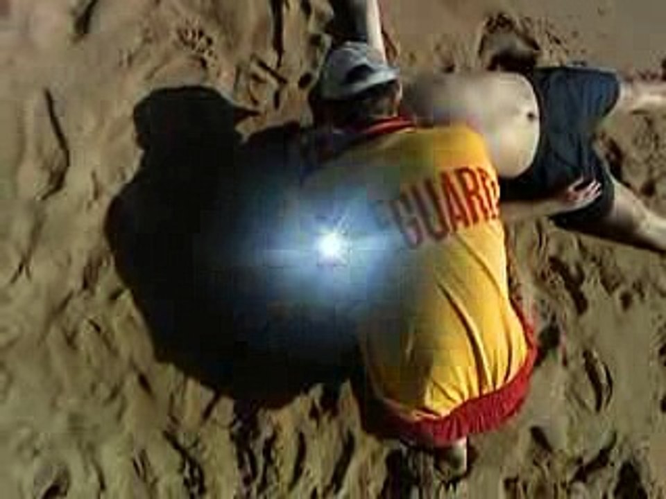 Animal Planet The top ten deadliest killers in the animal kingdom