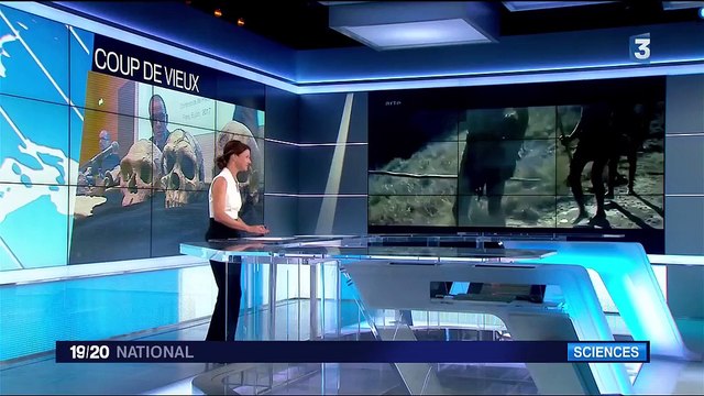 Homo sapiens : notre espèce est 100 000 ans plus vieille que ce que l'on pensait