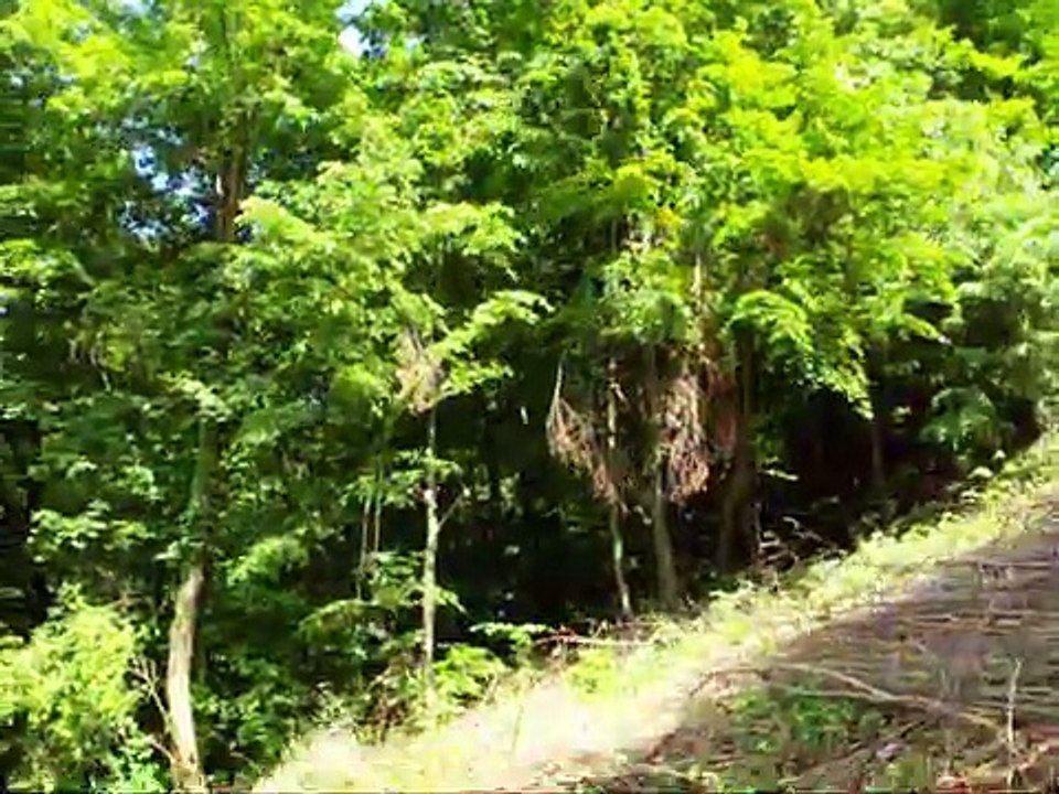 DSCF1059