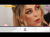 Aracely Arámbula prohibe el uso de su nombre en serie de Luis Miguel: Aracely Arámbula | Sale el Sol