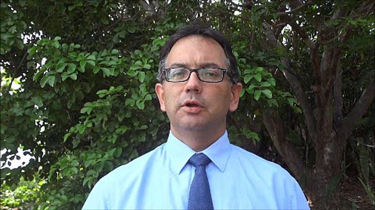 Mon role à l'Assemblée Nationale