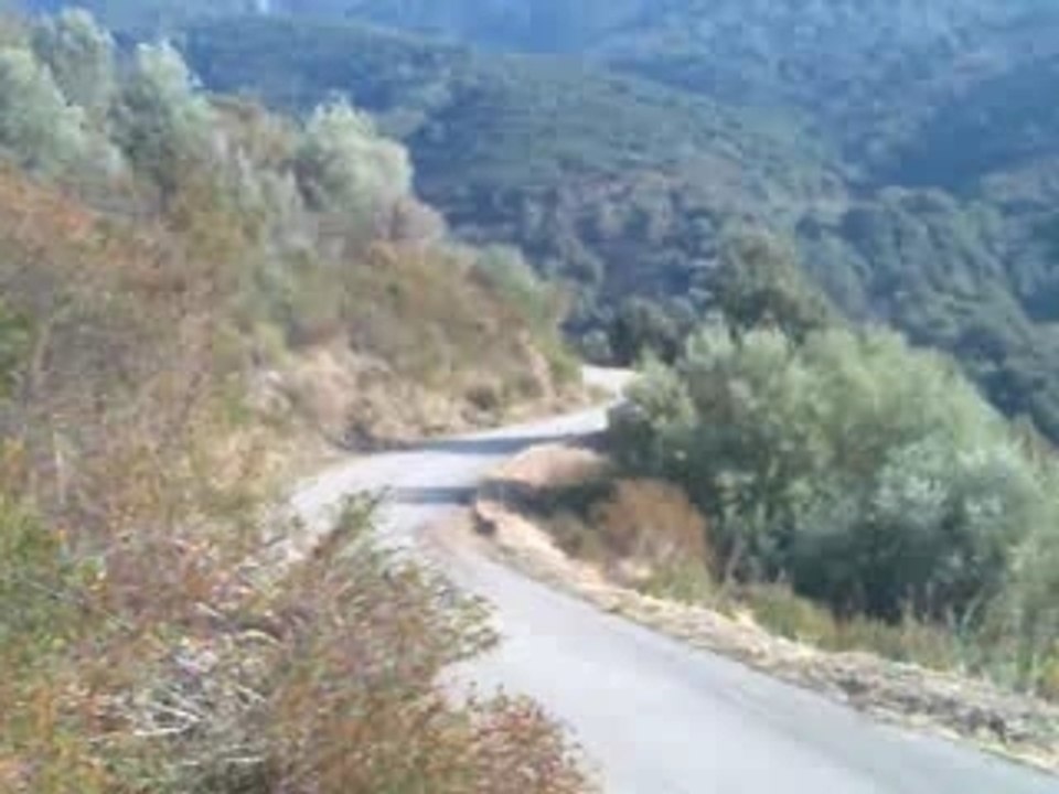 Tour de Corse 2007 Loeb Suite